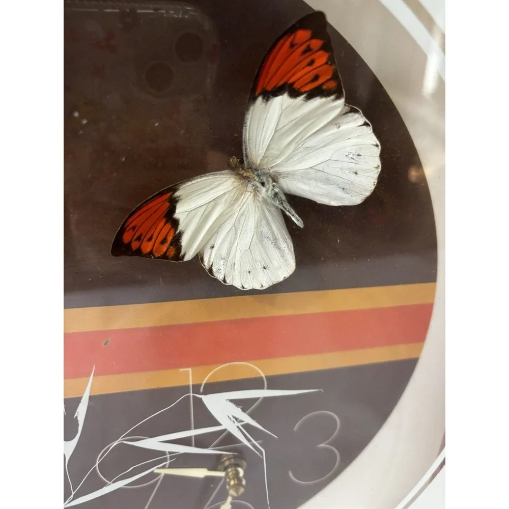 🦋Vintage Wall Clock MCM Eye Encounter Butterfly 14